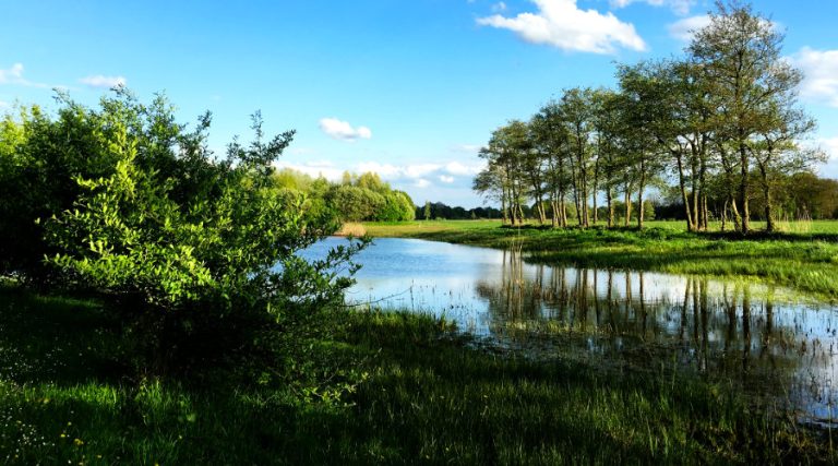 Landgoed Wandeltocht in Beltrum