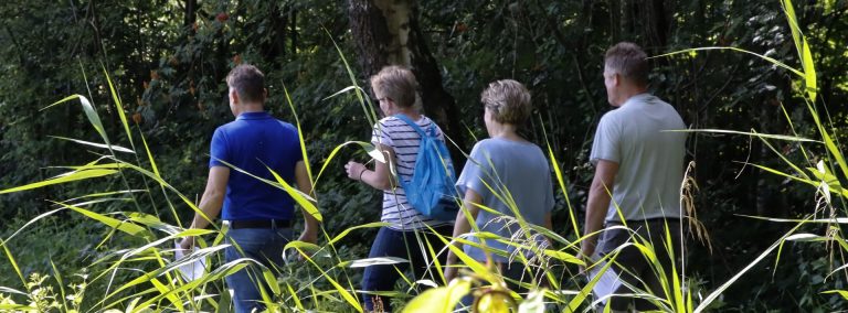 Midzomerwandeling